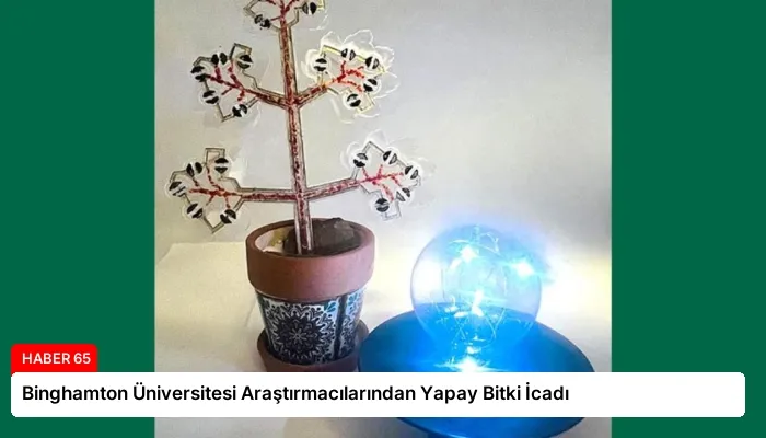 Binghamton Üniversitesi Araştırmacılarından Yapay Bitki İcadı