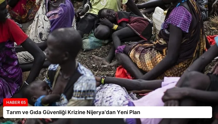 Tarım ve Gıda Güvenliği Krizine Nijerya’dan Yeni Plan