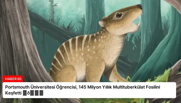 Portsmouth Üniversitesi Öğrencisi, 145 Milyon Yıllık Multituberkülat Fosilini Keşfetti ⏬👇