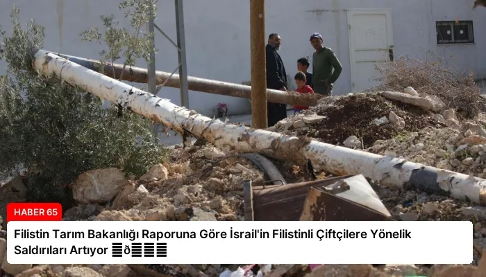 Filistin Tarım Bakanlığı Raporuna Göre İsrail’in Filistinli Çiftçilere Yönelik Saldırıları Artıyor ⏬👇