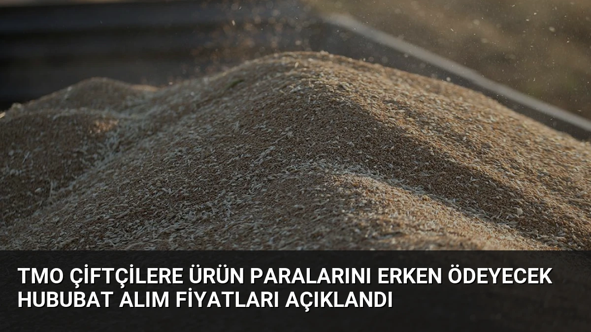 TMO Çiftçilere Ürün Paralarını Erken Ödeyecek Hububat Alım Fiyatları Açıklandı