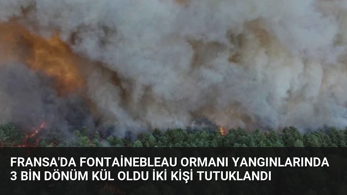 Fransa’da Fontainebleau Ormanı Yangınlarında 3 Bin Dönüm Kül Oldu İki Kişi Tutuklandı
