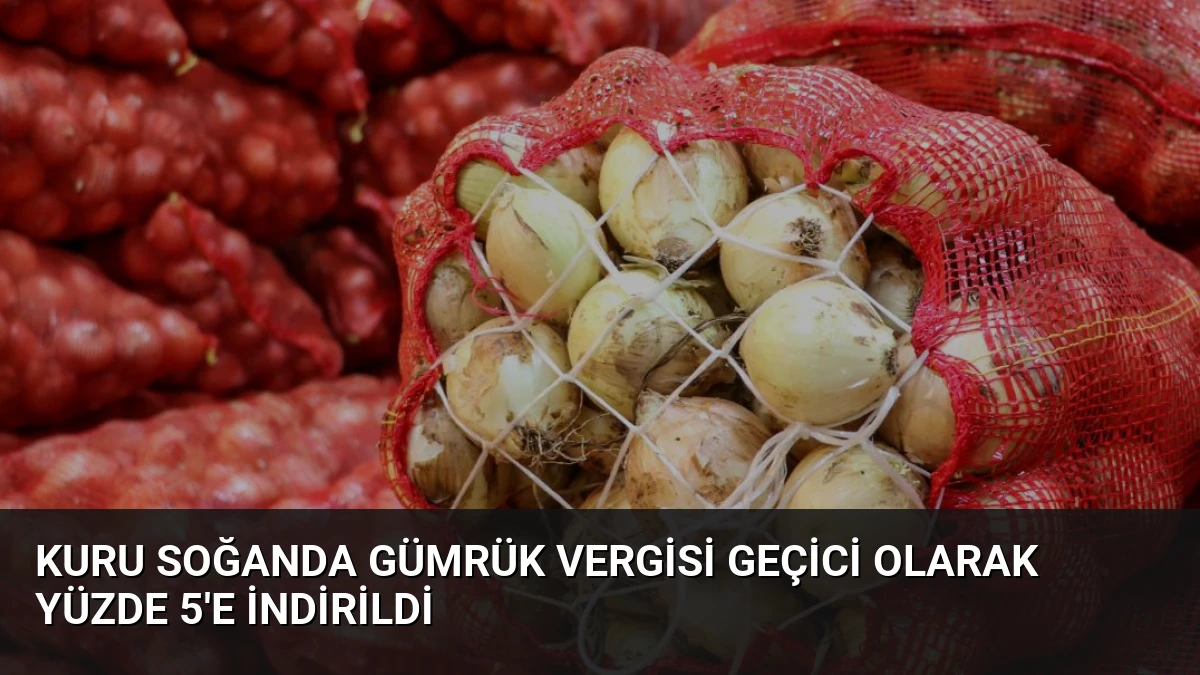 Kuru Soğanda Gümrük Vergisi Geçici Olarak Yüzde 5’e İndirildi