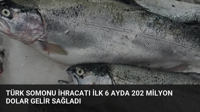 Türk Somonu İhracatı İlk 6 Ayda 202 Milyon Dolar Gelir Sağladı