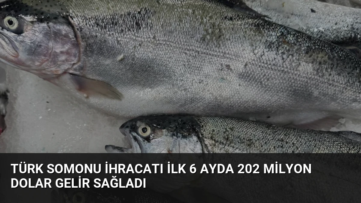 Türk Somonu İhracatı İlk 6 Ayda 202 Milyon Dolar Gelir Sağladı