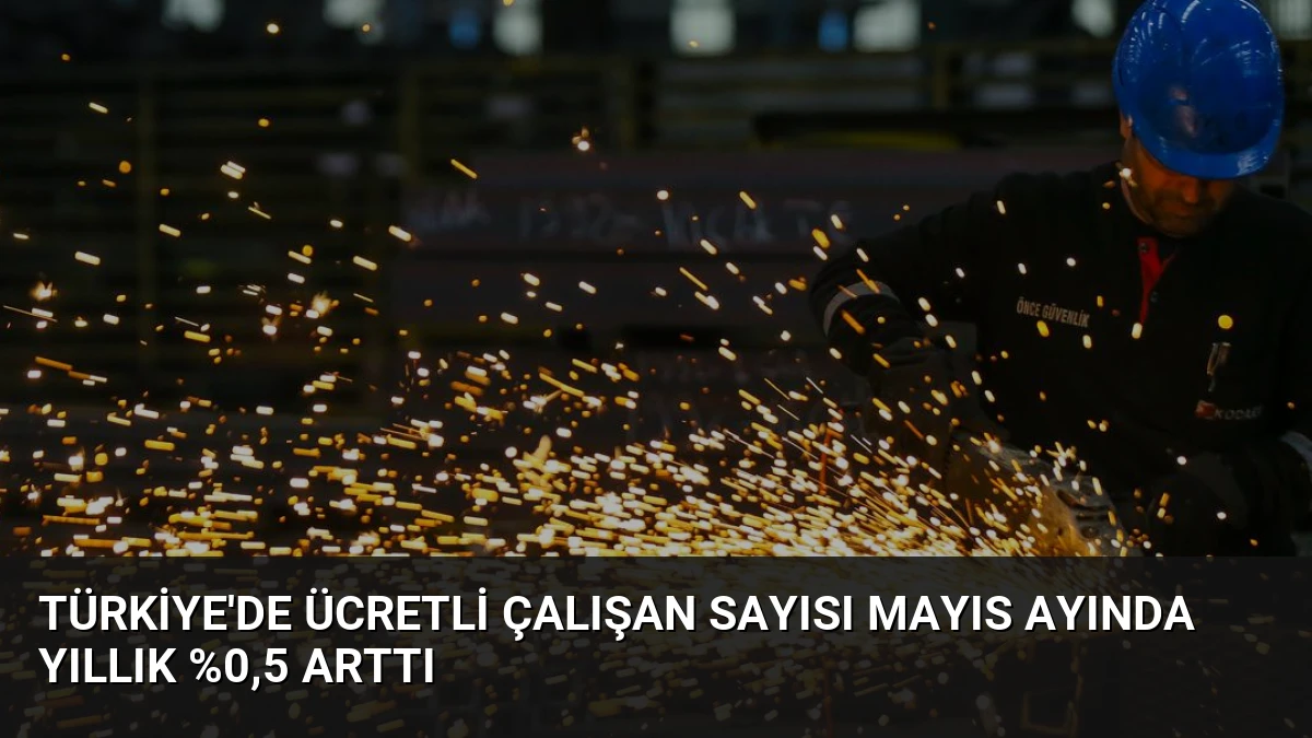 Türkiye’de Ücretli Çalışan Sayısı Mayıs Ayında Yıllık %0,5 Arttı