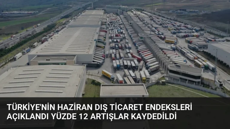 Türkiye’nin Haziran Dış Ticaret Endeksleri Açıklandı Yüzde 12 Artışlar Kaydedildi