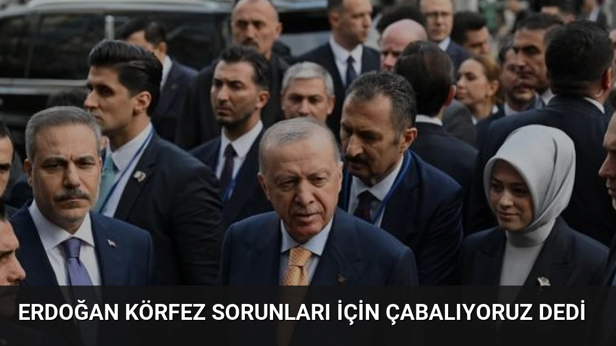 Erdoğan Körfez Sorunları İçin Çabalıyoruz Dedi