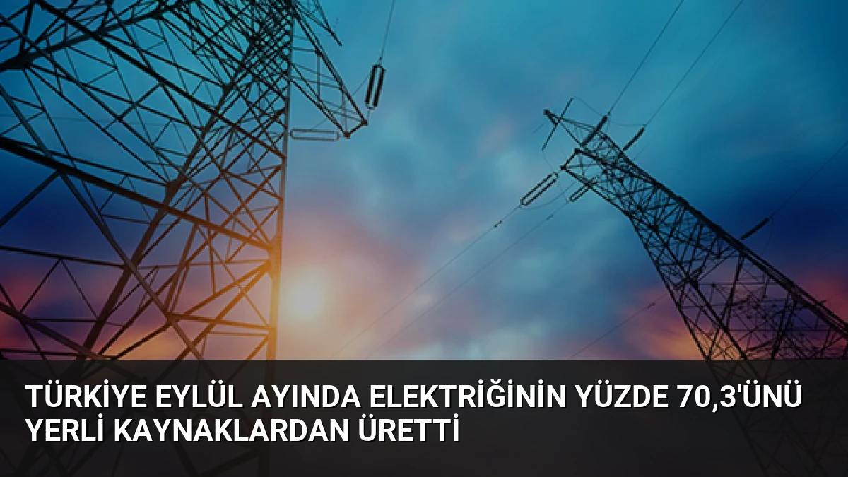 Türkiye Eylül Ayında Elektriğinin Yüzde 70,3’ünü Yerli Kaynaklardan Üretti